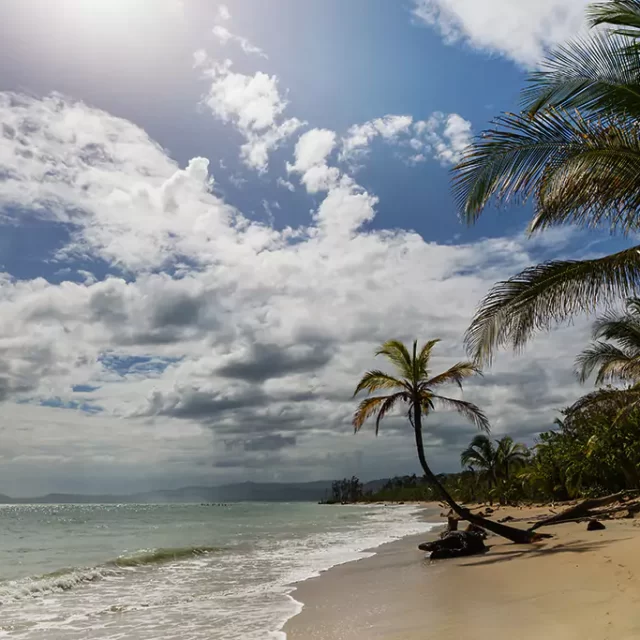 Luxury Vacation in Guanacaste